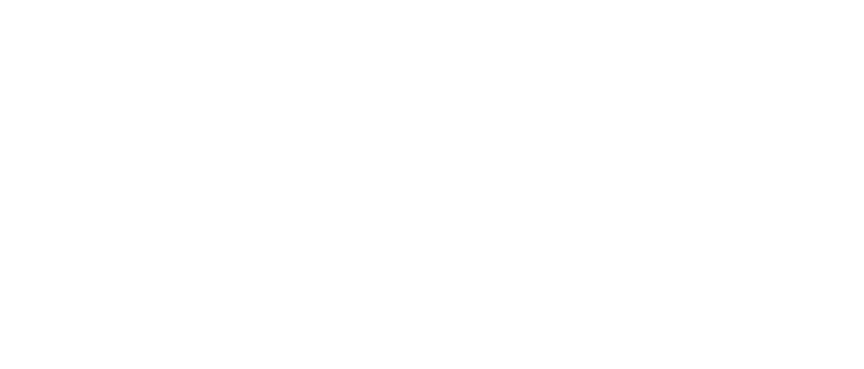 Bimbos logo straight